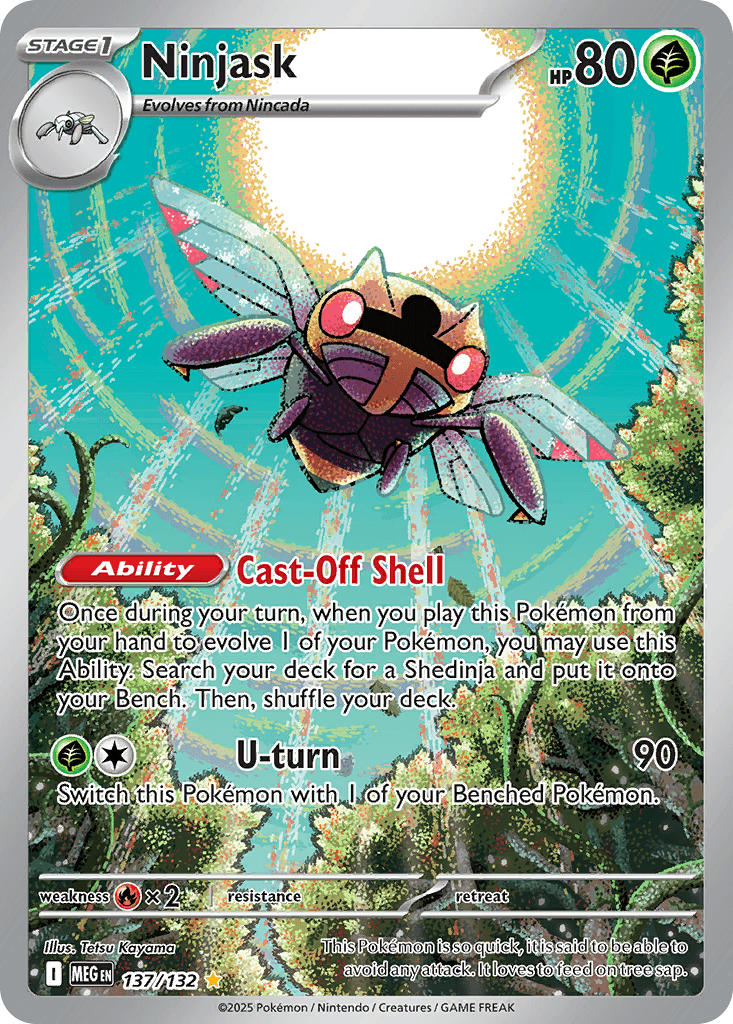 Ninjask